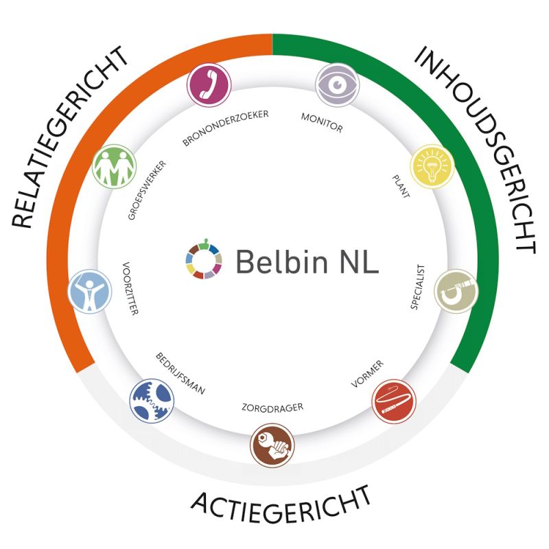 Belbin Individu