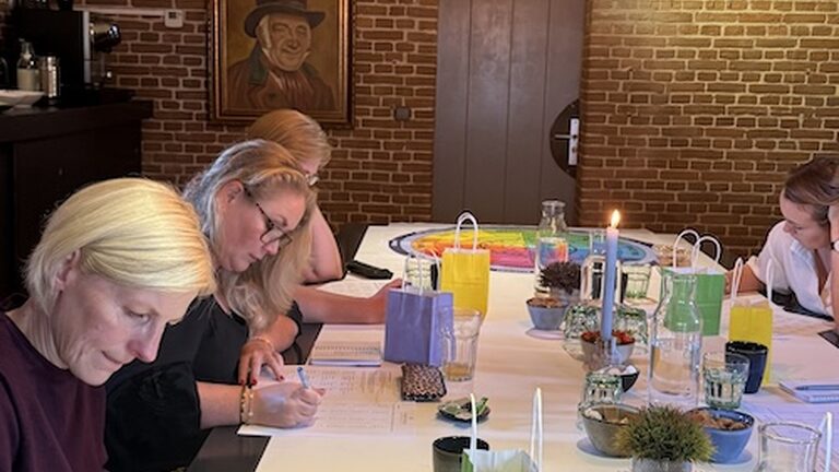 DISC Team trainingen